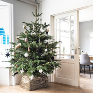 Christmas trees
